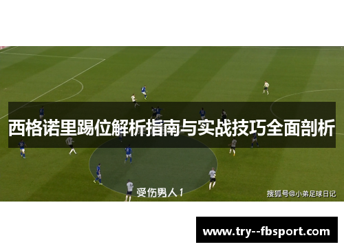 西格诺里踢位解析指南与实战技巧全面剖析
