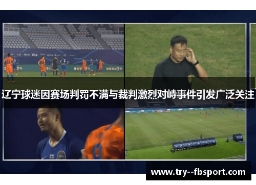 辽宁球迷因赛场判罚不满与裁判激烈对峙事件引发广泛关注