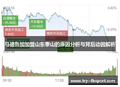 马德鲁加加盟山东泰山的原因分析与背后动因解析